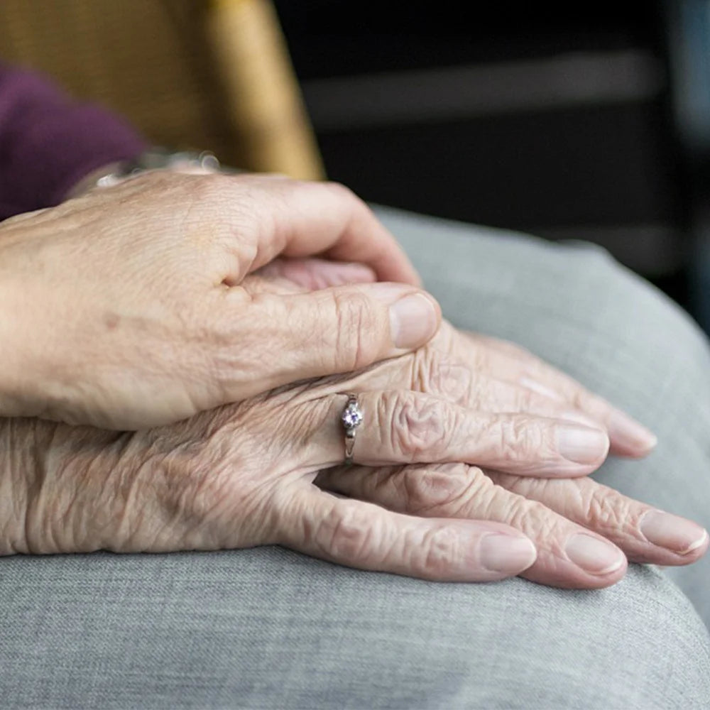 Attacco bidet ultra sottile SAMODRA per sedile WC - Doppio ugello, pressione dell'acqua regolabile, spruzzatore non elettrico