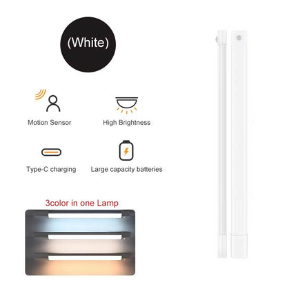 Dimmable Motion LED Light