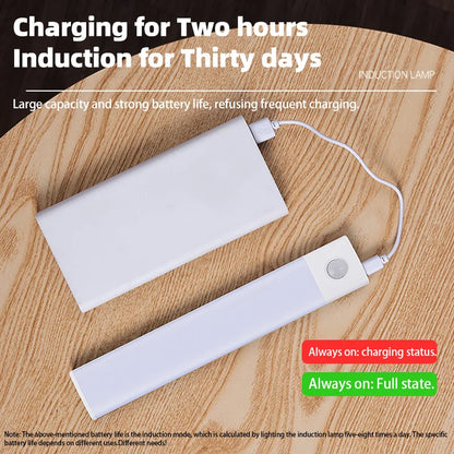 Rechargeable Motion LED Light