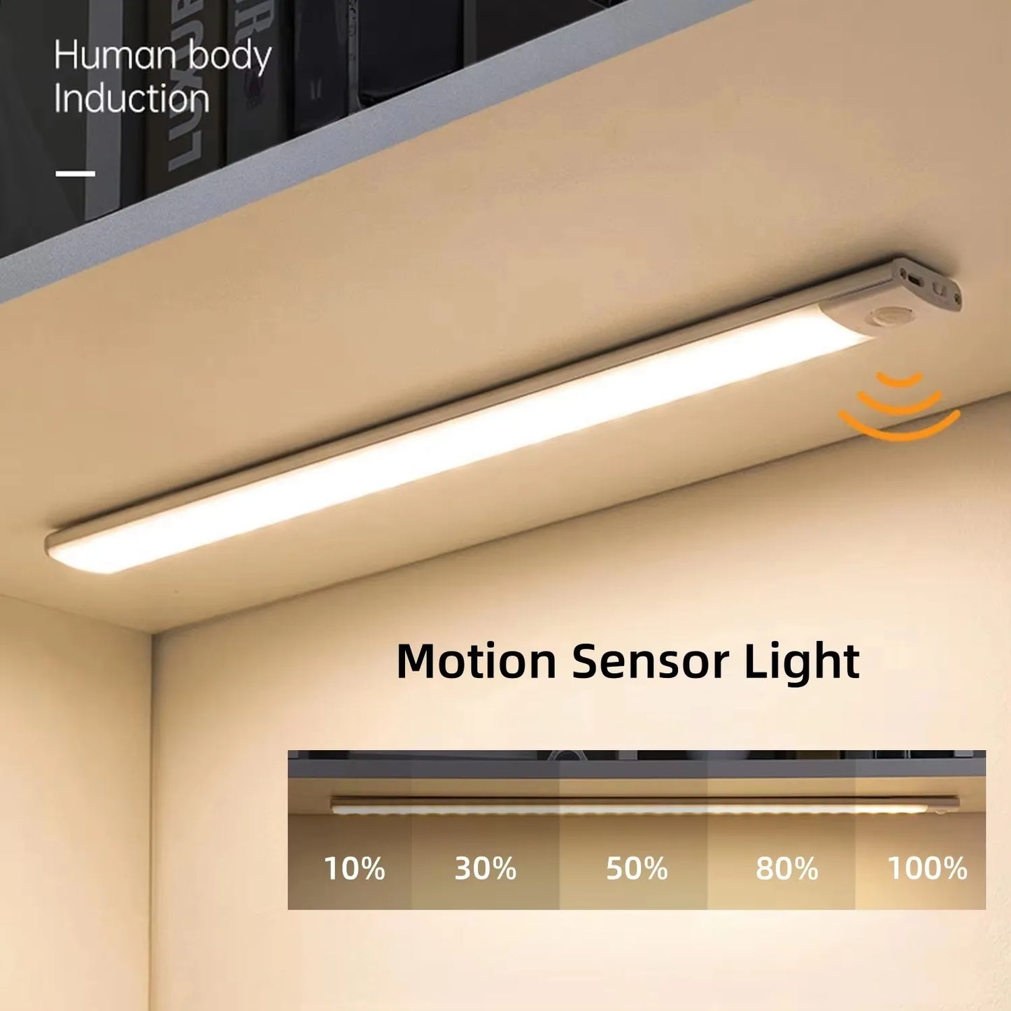 Dimmable Motion LED Light
